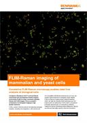 FLIM-Raman imaging of mammalian and yeast cells